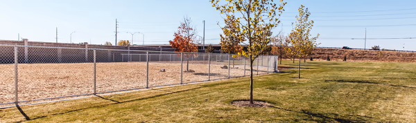 Pine Grove Park photo 1